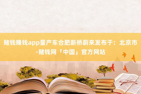 赌钱赚钱app量产车合肥新桥蔚来发布于：北京市-赌钱网「中国」官方网站