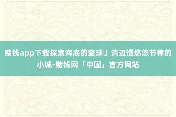 赌钱app下载探索海底的寰球✅清迈慢悠悠节律的小城-赌钱网「中国」官方网站