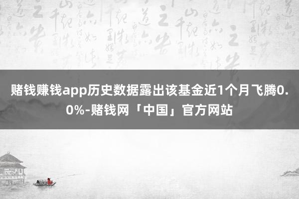 赌钱赚钱app历史数据露出该基金近1个月飞腾0.0%-赌钱网「中国」官方网站