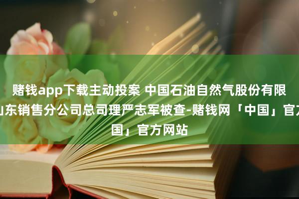 赌钱app下载主动投案 中国石油自然气股份有限公司山东销售分公司总司理严志军被查-赌钱网「中国」官方网站