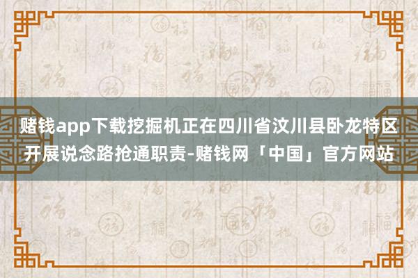 赌钱app下载挖掘机正在四川省汶川县卧龙特区开展说念路抢通职责-赌钱网「中国」官方网站