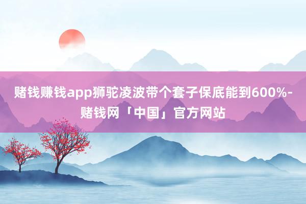 赌钱赚钱app狮驼凌波带个套子保底能到600%-赌钱网「中国」官方网站